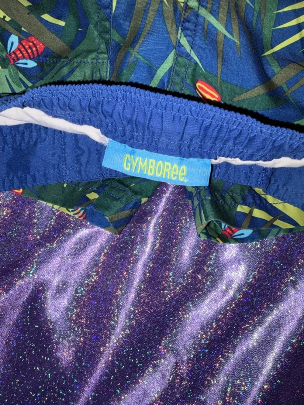 Boys Gymboree Bugs Swim Trunks